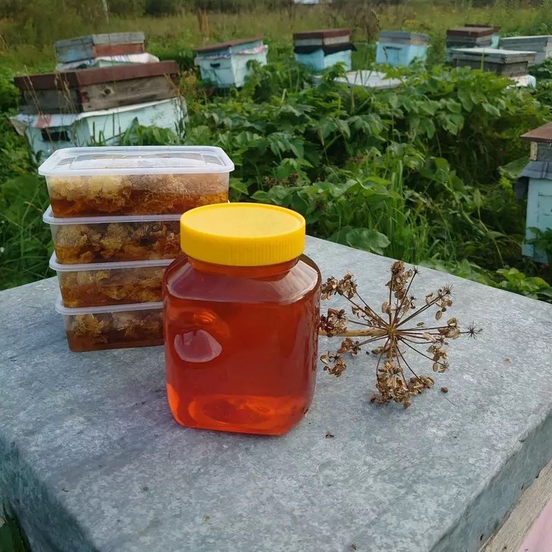 Asal Мёд ( Tabiiy toġ asali ) Асал
