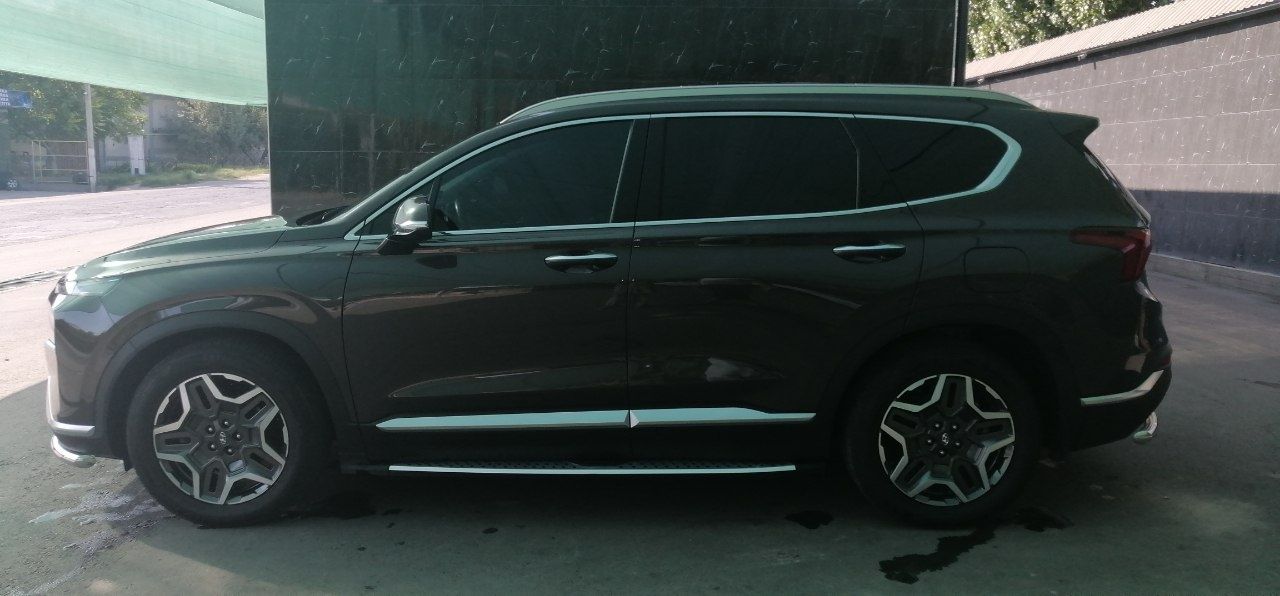 Hyundai SantaFe 2021-22