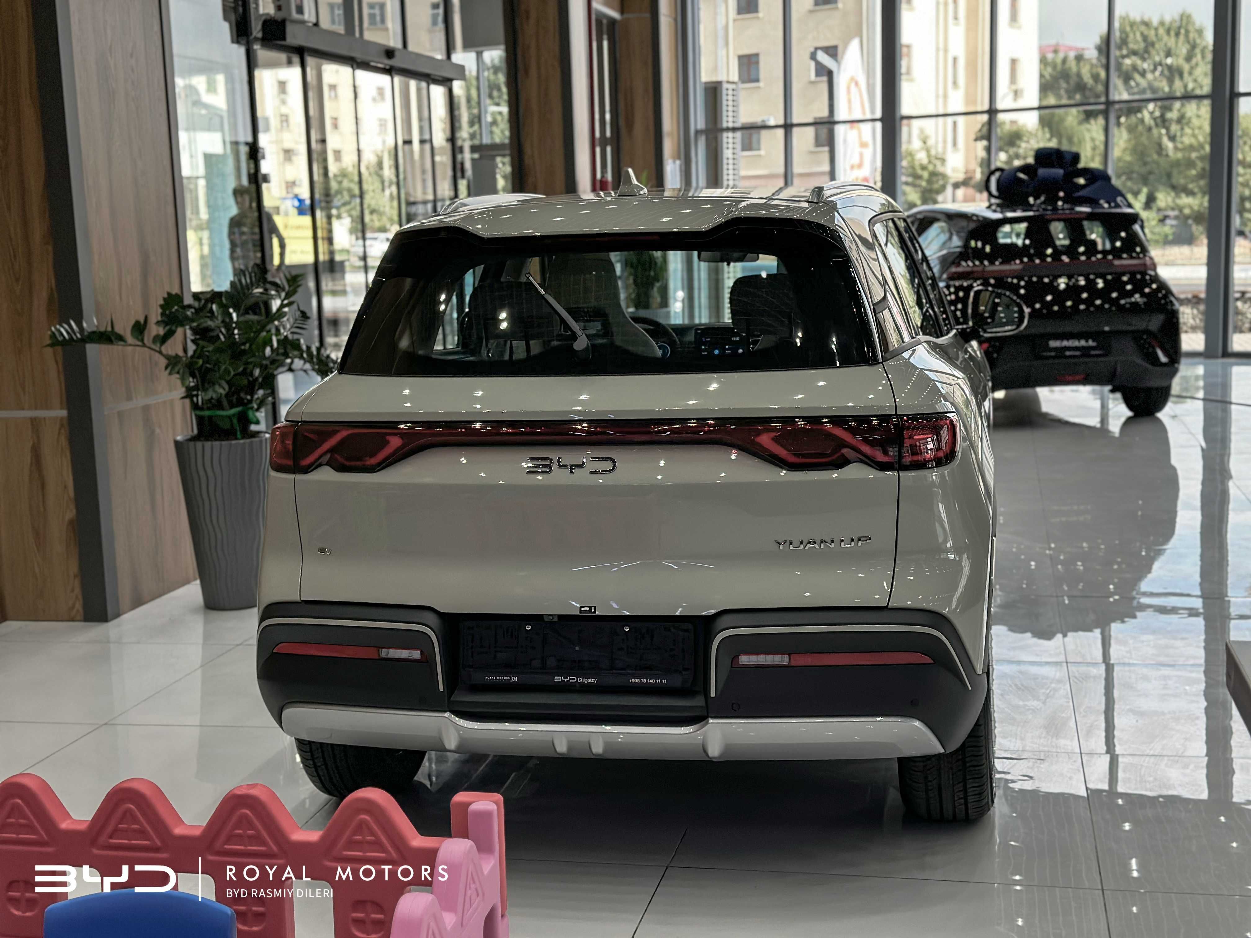 BYD YUAN UP 401 km Flagship