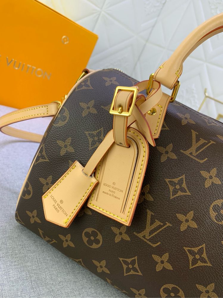 Geanta Louis Vuitton