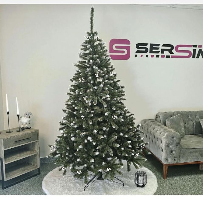 Brad de Crăciun toată zona cluj