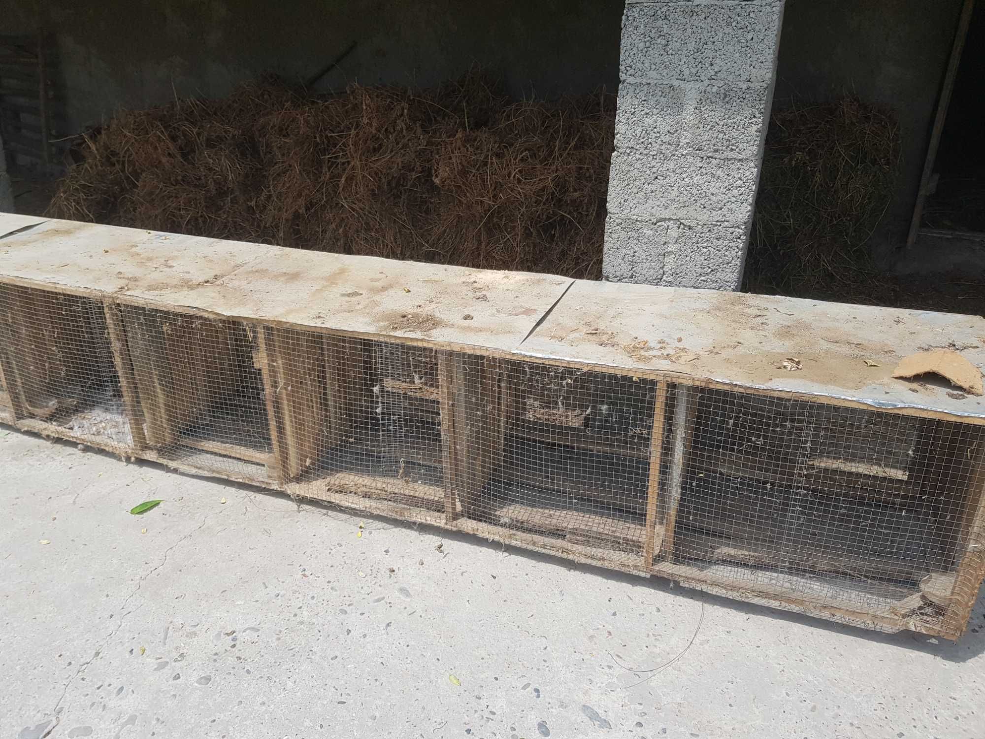 Katak quyon va tovuqlar uchun