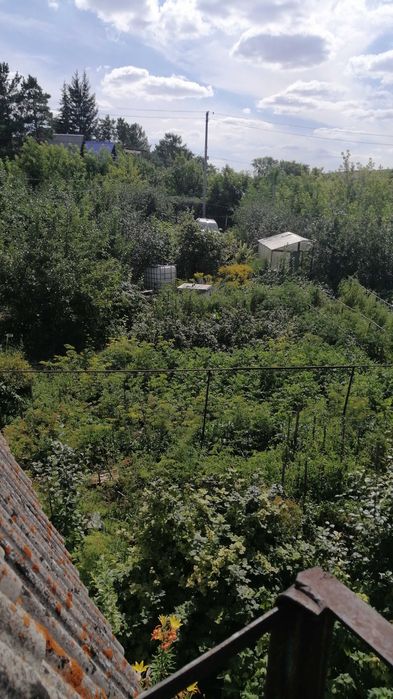 Продам дачу в обществе Мичуринец