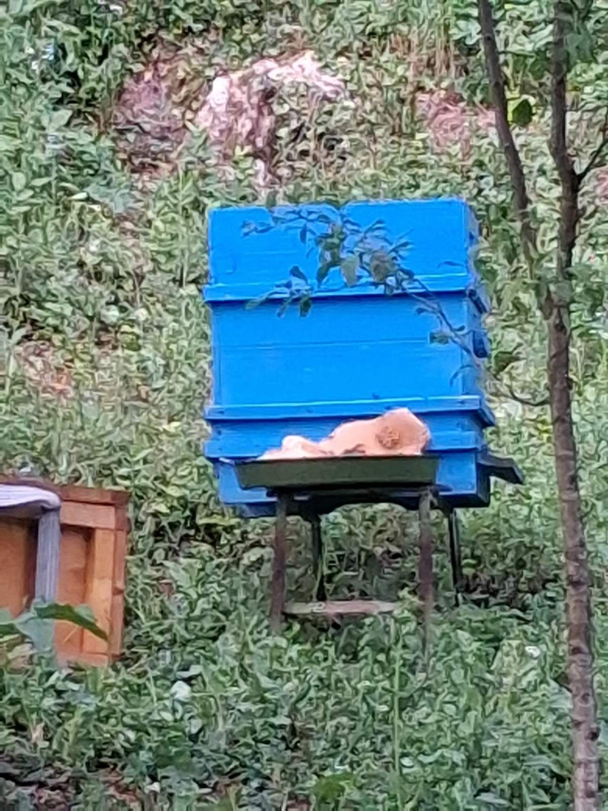 Кошери с празни рамки