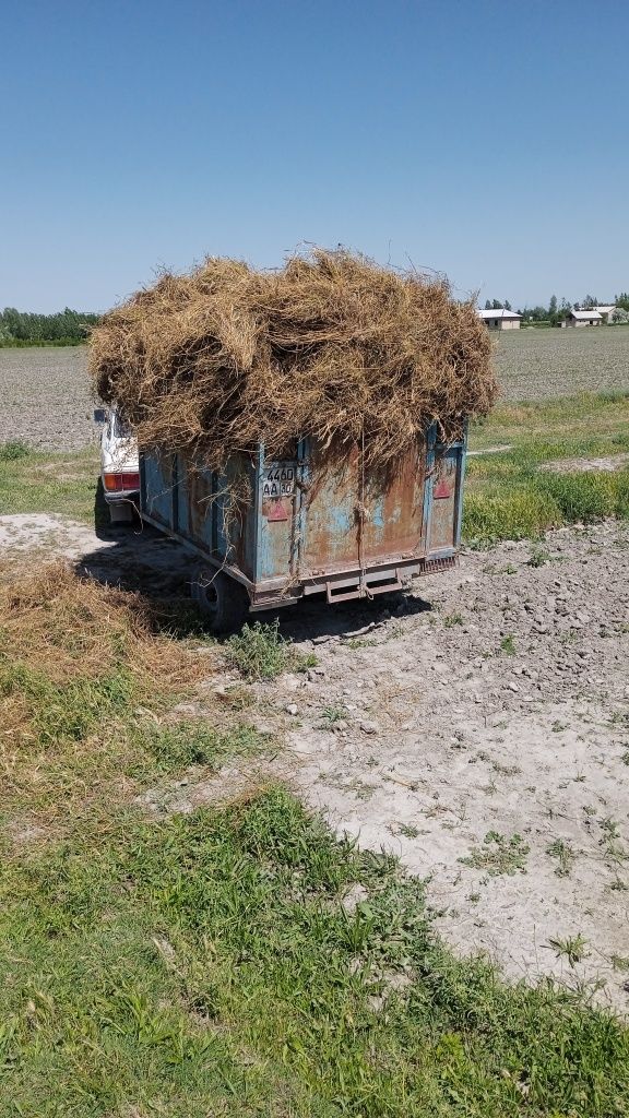 Sirochni sotiladi tezda