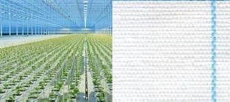 AGROTEXTIL ALB, Antiburuieni 1.05x100ml; 2.07x100ml; 4,15x100ml, UV