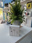 Casti Apple IPhone Lightning