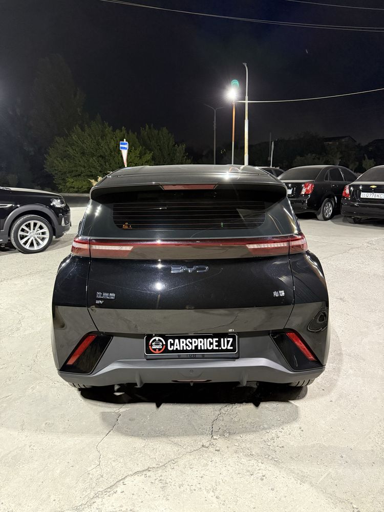 BYD SEAGULL 2024/25 Restayling
