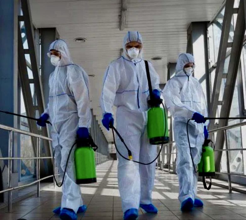 Дезинфекция дезинсекция дератизация