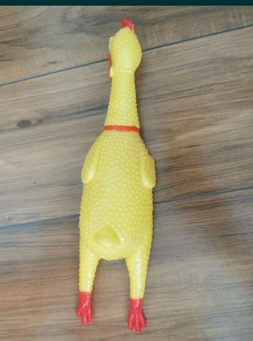 Jucărie câine Jucărie găină pui