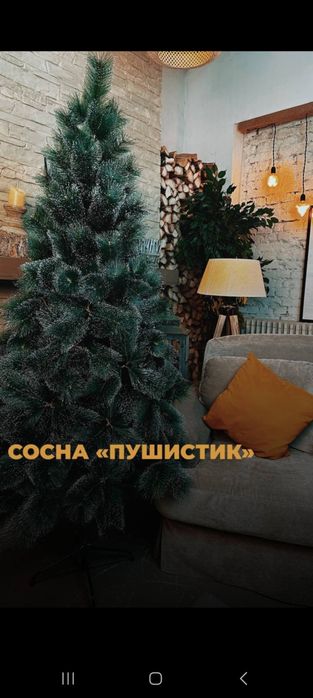 Ель сосна со снежным напылением