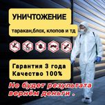 Шок цена дезинфекция дезинсекция dizinfeksiya dezinfeksiya klapa tarak