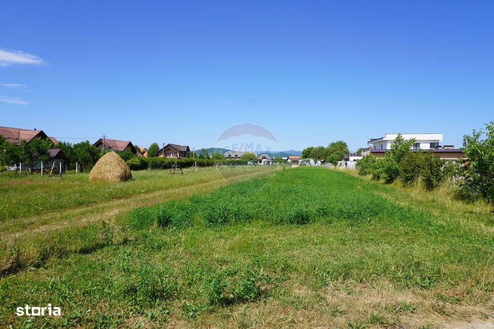 Teren 1,687mp Sighetu Marmatiei / Strada Doboies