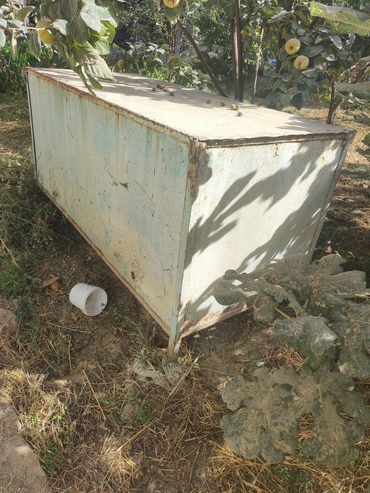 Продаётся лоток для продажи рыба