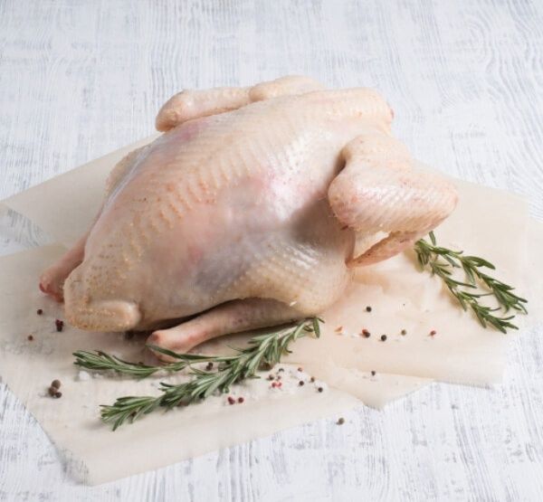 Продам домашнюю индейку.Каспий ред!