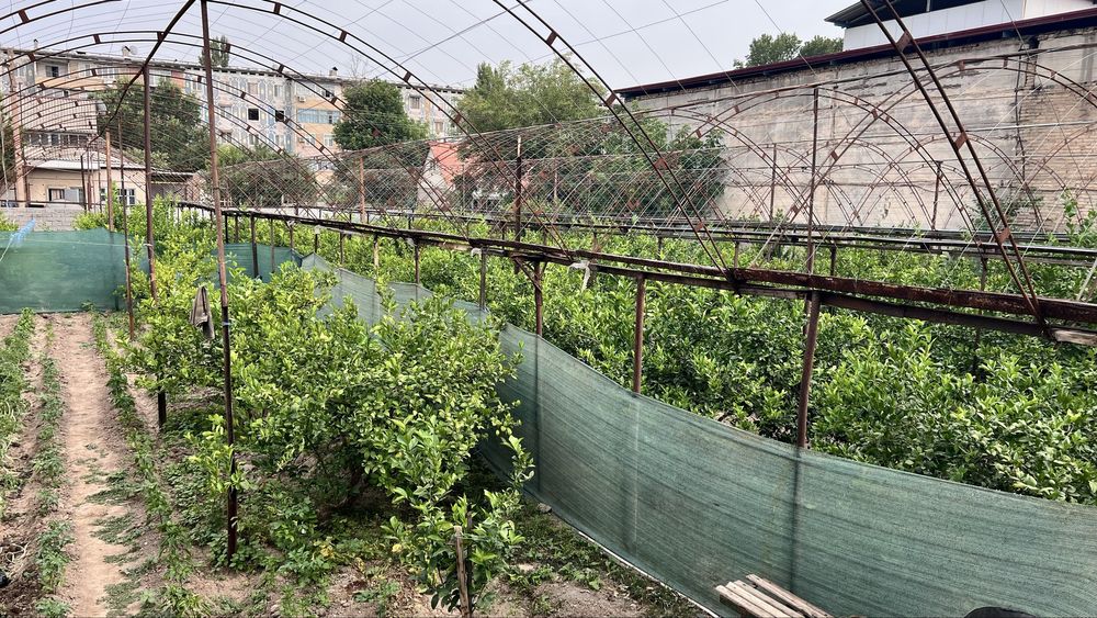 Продаётся земельный участок под строительство жилого дома.