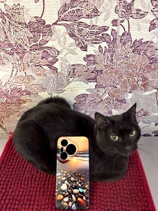 Продаю чехол для смартфона