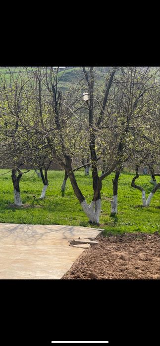 Продаю свою дом участок землю газлкент корамозор, гижал кишлогида