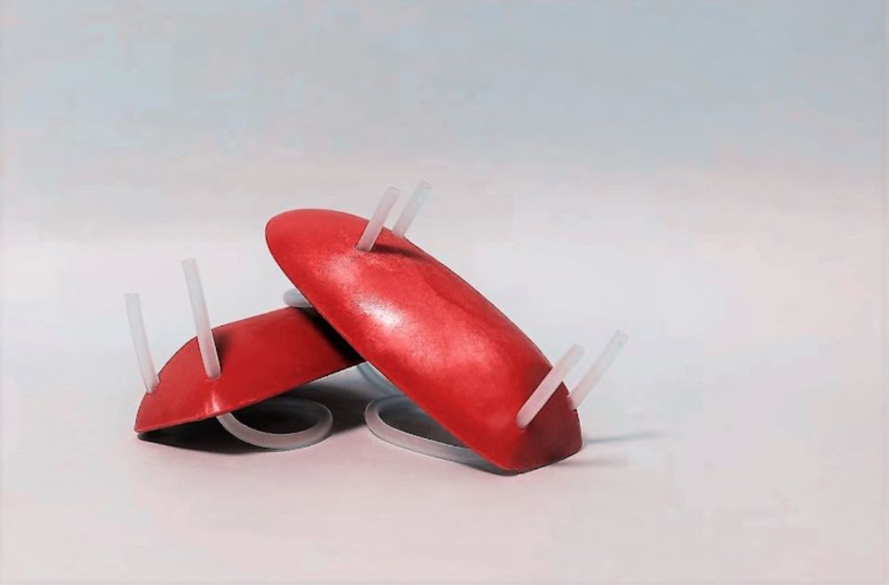 Palmare de înot Strokestar