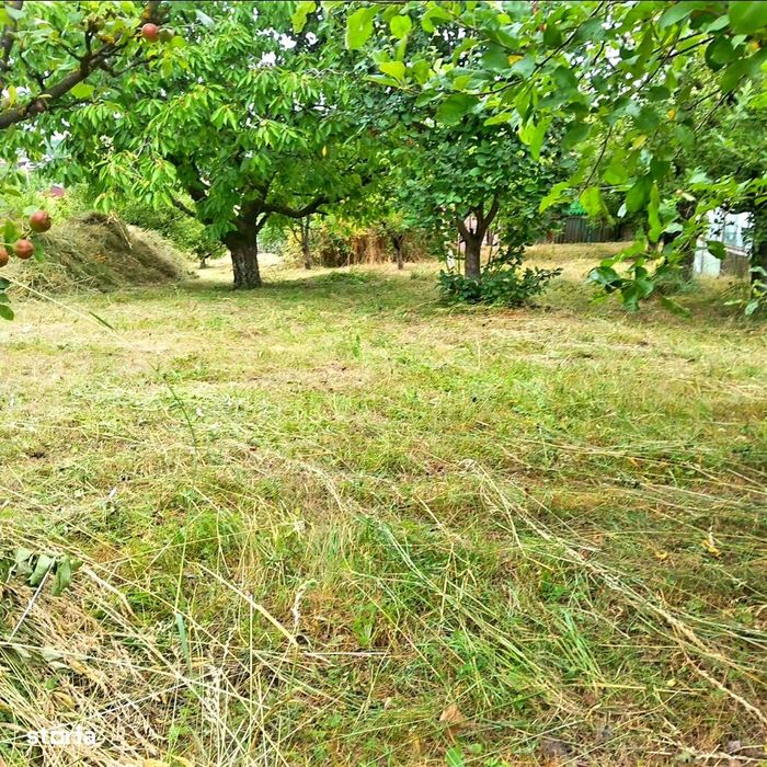 Vand teren/livada in Targu Neamt chiar in oras