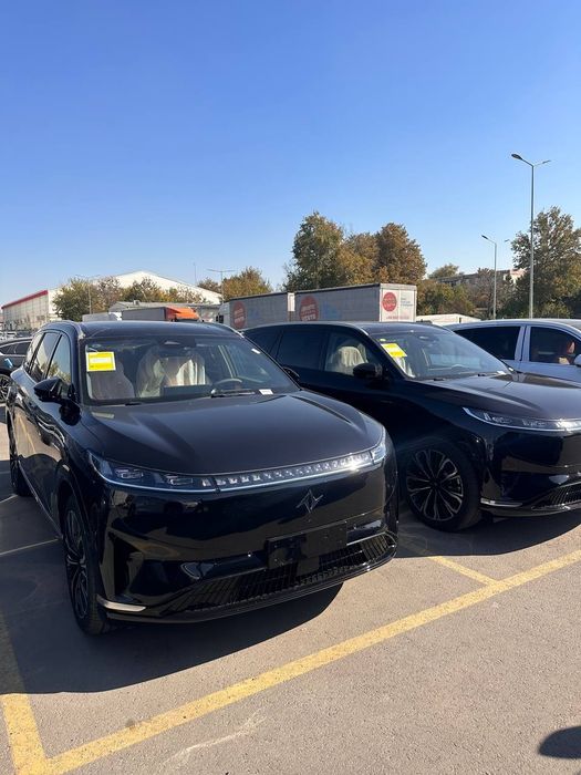 Donfeng 008 Restaling