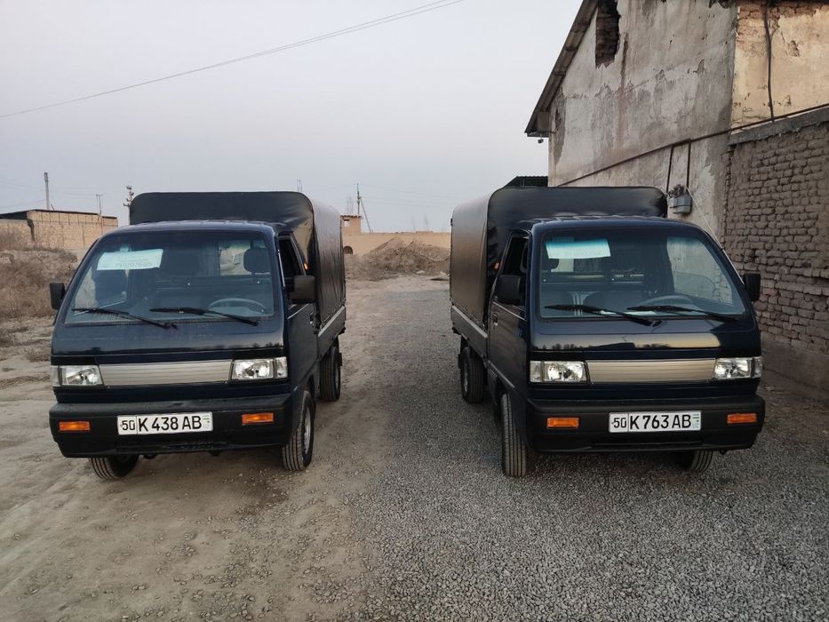 Лабо йигма карказли тент