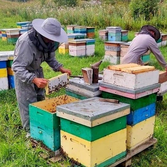 Продаю натуральный вкусный полезный мёд со своей пасеки.