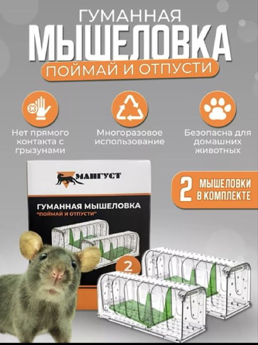 Гуманная мышеловка