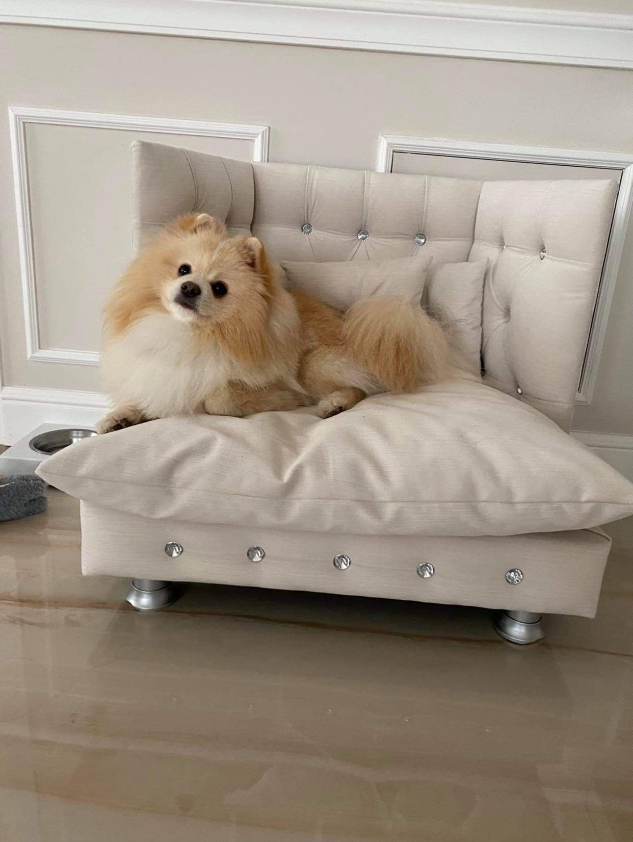 Кучешко легло / спалня / кресло