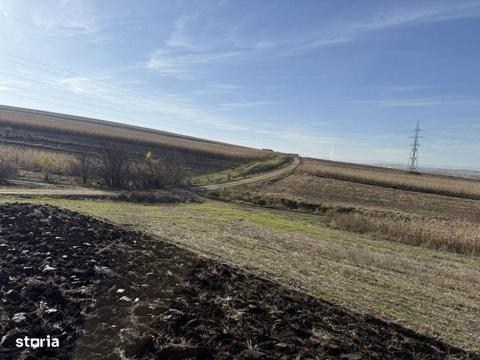 Teren agricol extravilan arabil Sfântul Ilie Suceava 1.49ha