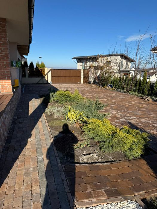 Montaj pavaj si reparati