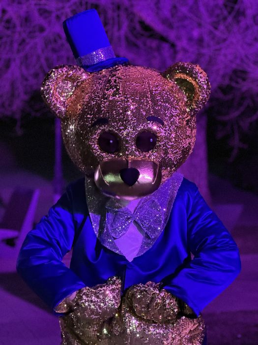 Костюм аниматора