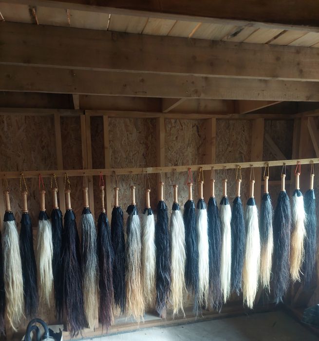 Pleaftura, coada de cal pentru urs sau badanari