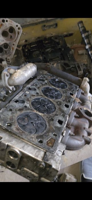 123.или 126 галофка стартер куп нарсаси бор