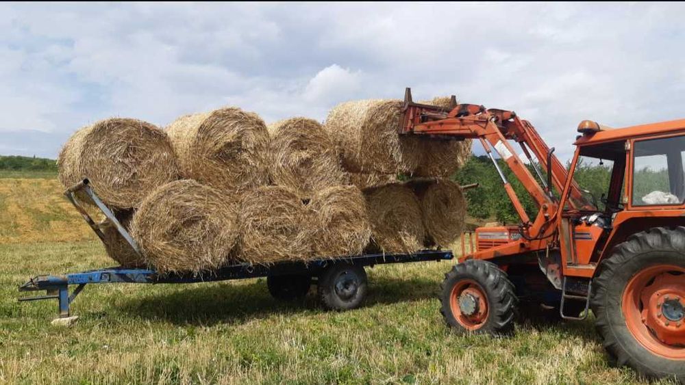 Vând baloți de lucernă, fân și paie
