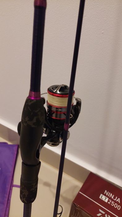 Combo spinning, delphin toxic 2.28m 7-30g, daiwa ninja lt 2500