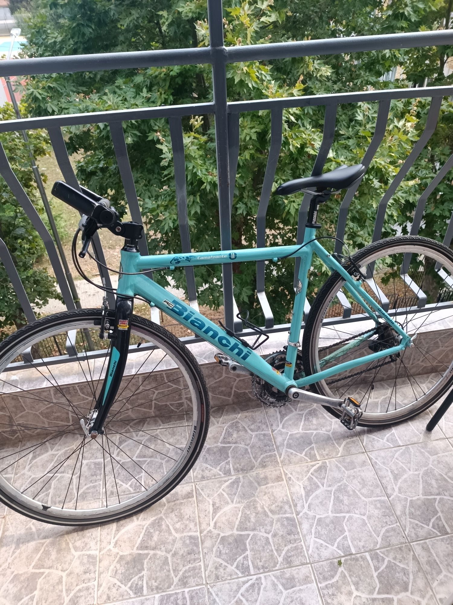 bianchi camaleonte 2