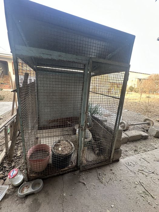 Клетка qafas валеьер сотилади