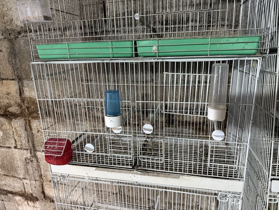 Продавам клетки