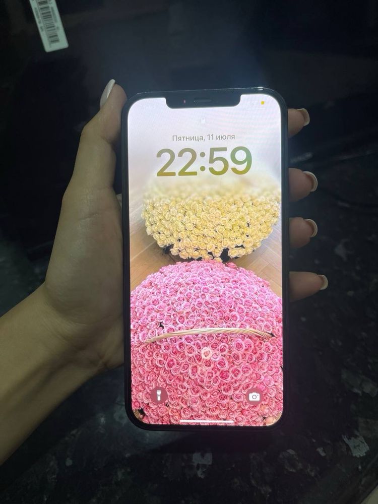 Iphone 12 pro max