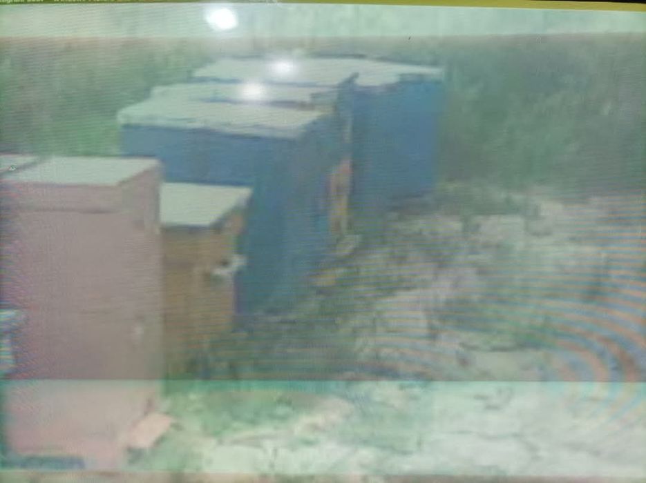 Vand 9 familii albine +2 roiuri, 15 lăzi poliuretan, centrifuga inox ,