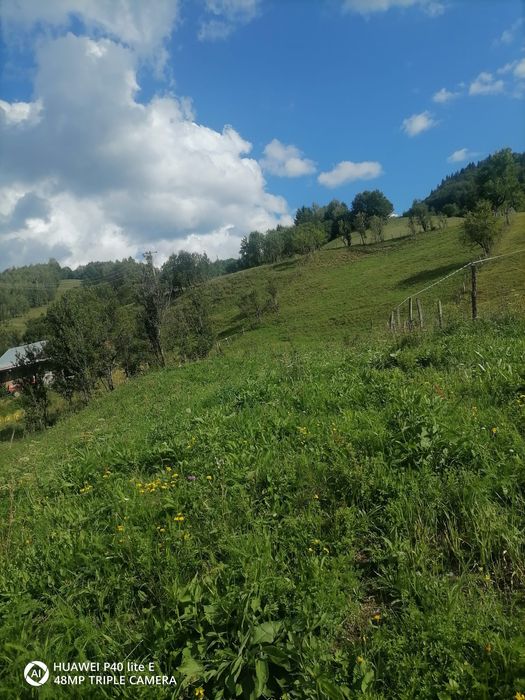 Casă de vânzare,zona Transapuseana!