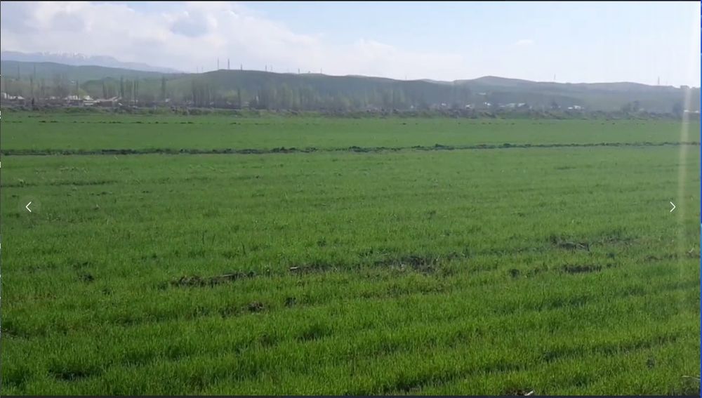 Орошаемая плодородная земля 15 га вдоль канала (Ташобласть)