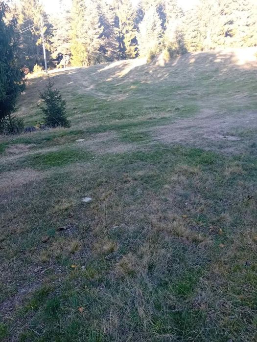 Продава се Парцел в Доспат - 3000 кв.м за 54 €/кв.м - Снимка #1