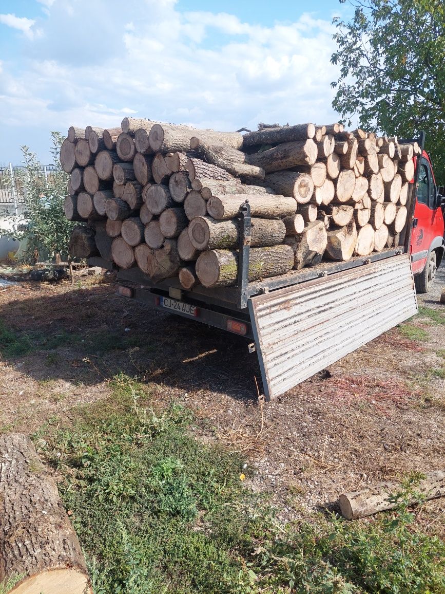 Vând lemn de foc esență tare Stejar Fag