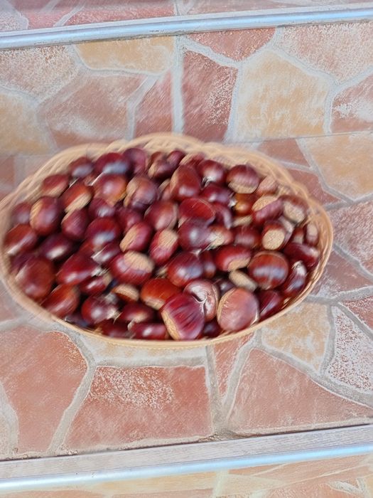 Castane de vanzare