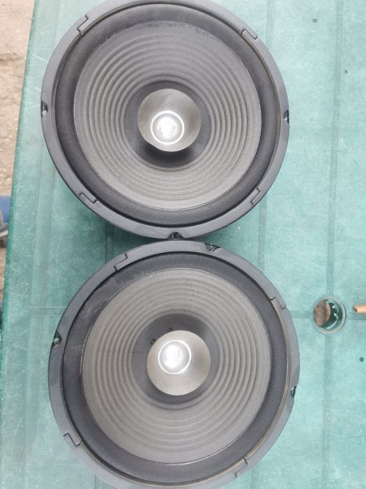 Difuzoare 10 inch Altai Taiwan