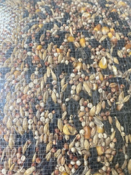 Grau de samanta si consum,orz,porumb