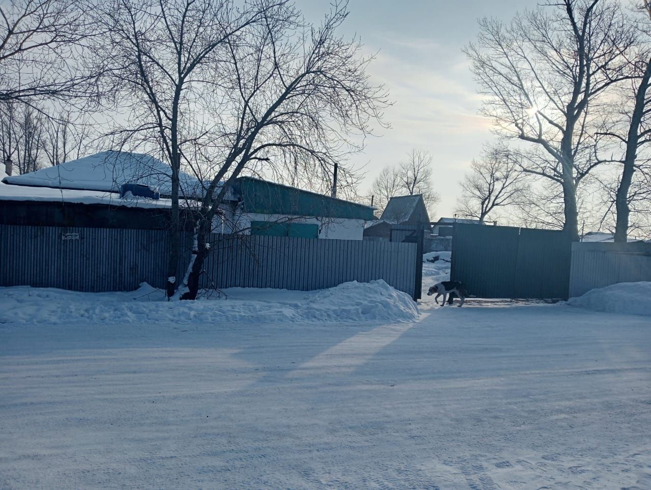 ПРОДАМ ДОМ Бабровка зимний вариант