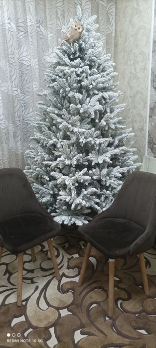 Продаются стулья 6 штук. В хорошем состоянии.